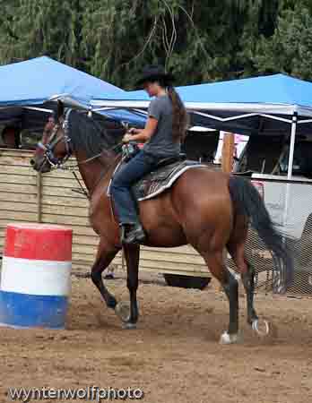 IMG_0328_0963_edited-1